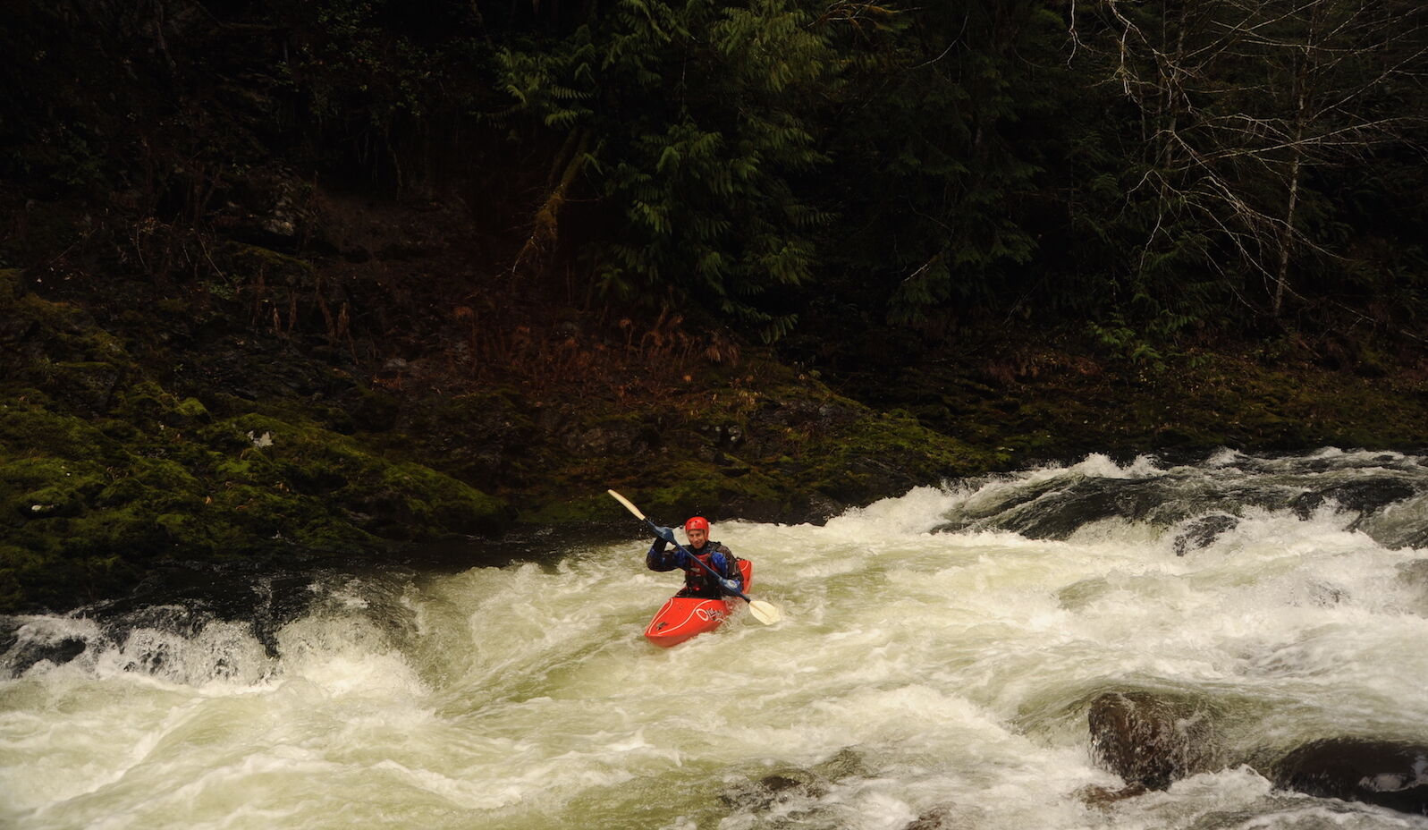 Image for Senator Murray & Representative Kilmer Reintroduce Wild Olympics Bill (WA)