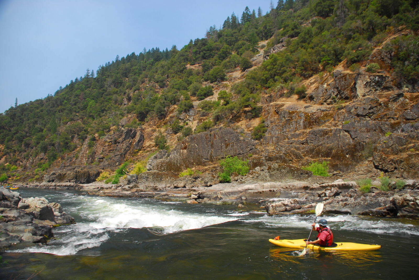 Image for Effort to Protect the Rogue Continues (OR)