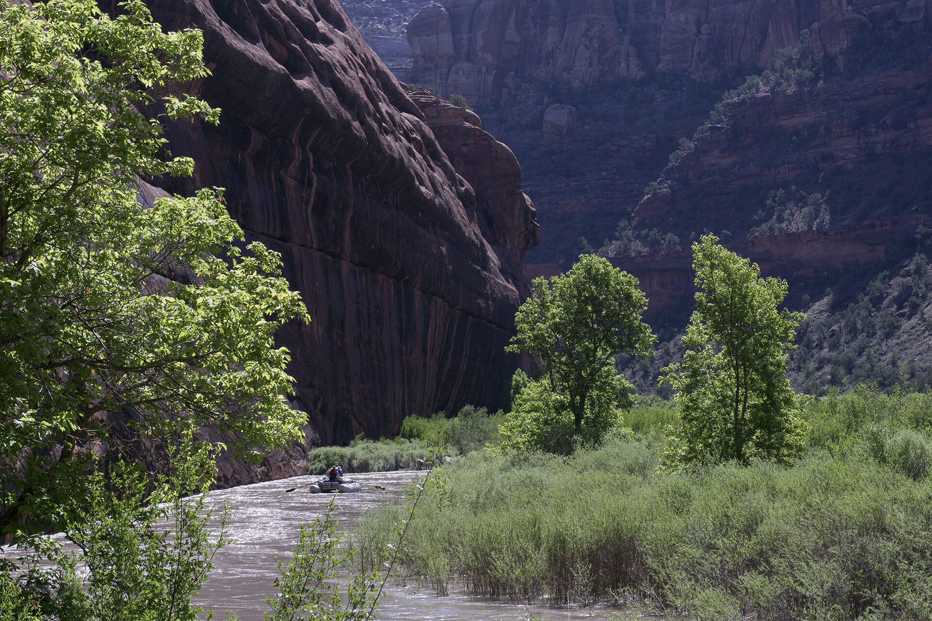 Image for Dolores River (CO) 2019 Release Update