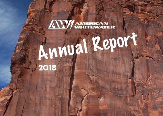 Image for We did amazing work together in 2018! Check out our Annual Report