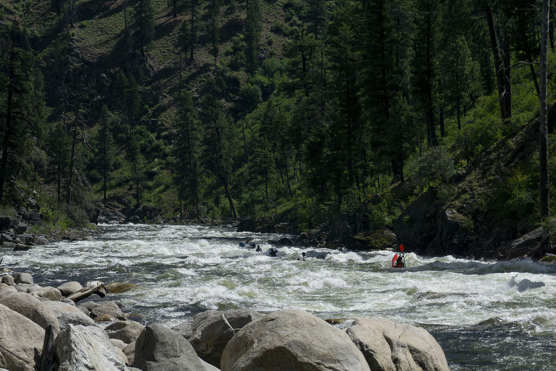 Image for The Forest Service Doesn’t Want Your Input