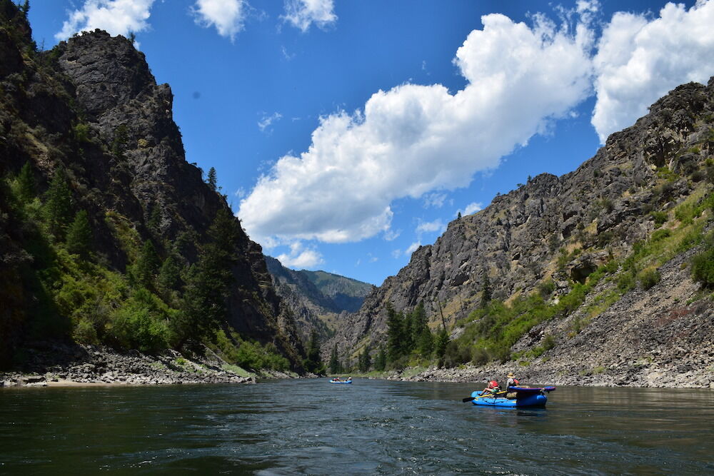 Image for AW Stewardship Assistant Job Announcement