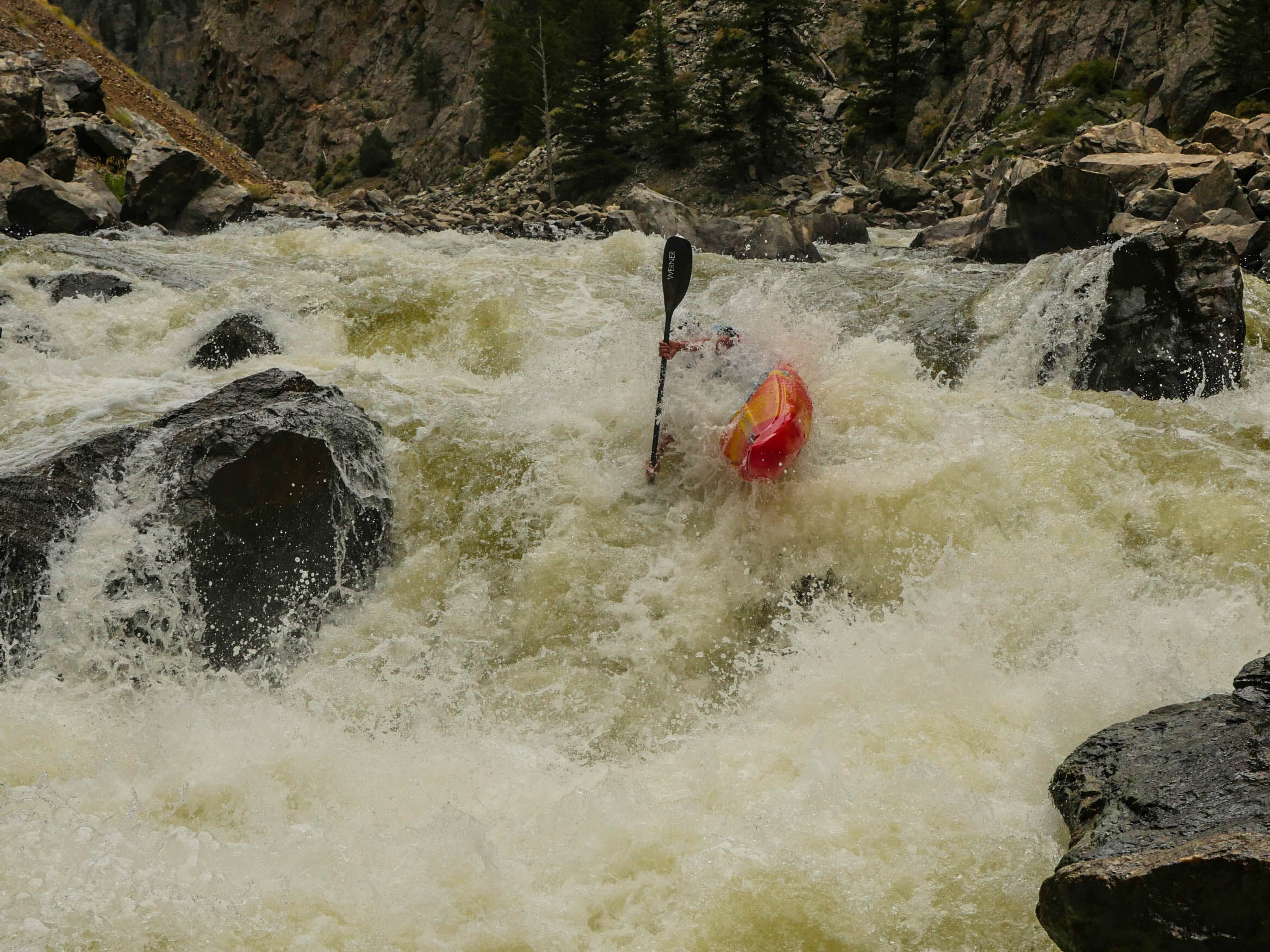 Image for Gore Canyon Festival 2019 (CO) Review