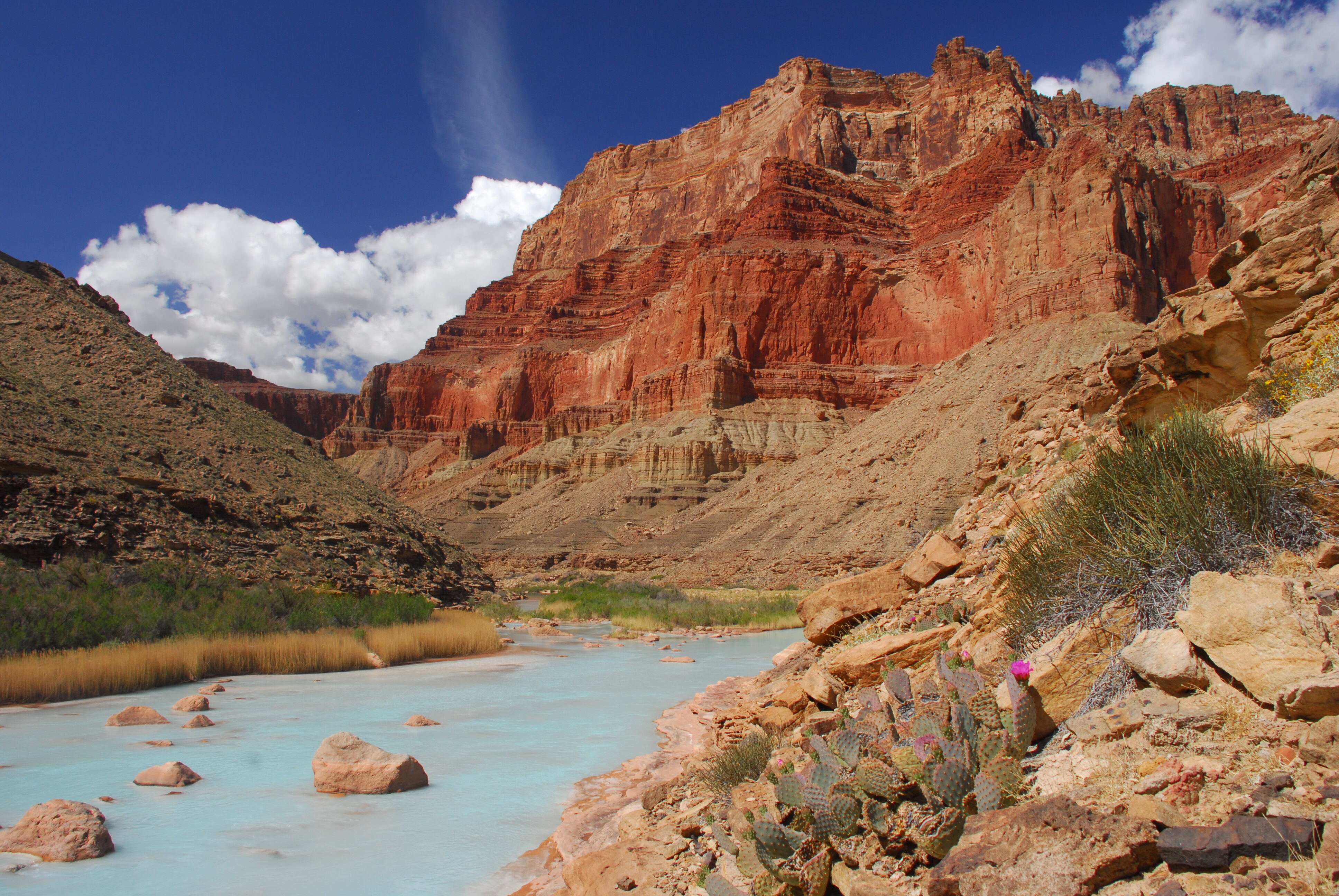 Image for Say no to the Little Colorado River dams