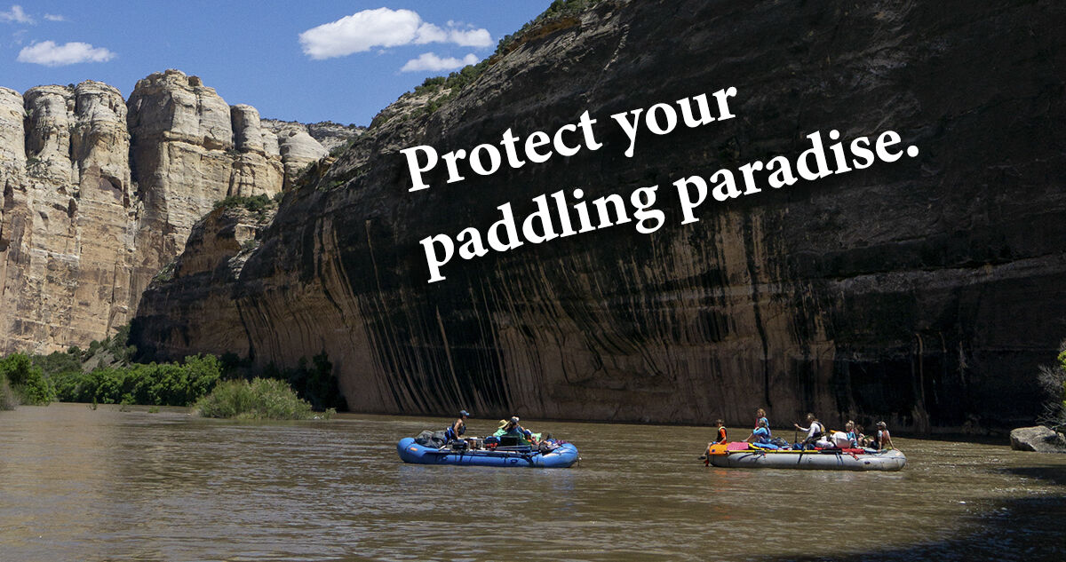 Image for Stewardship Highlights 2019 by Region