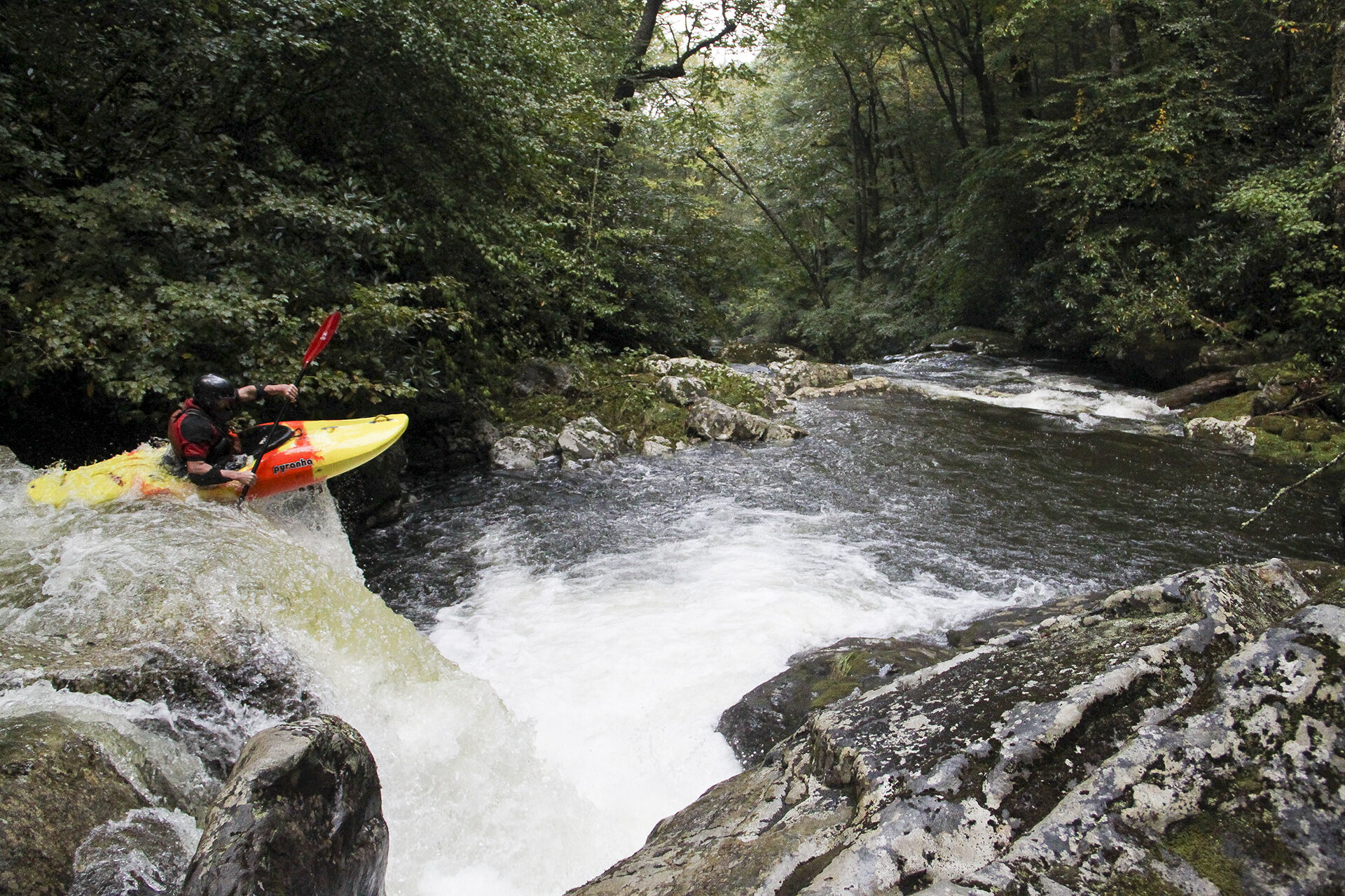 Image for Nantahala-Pisgah Forest public meetings and comment period delayed