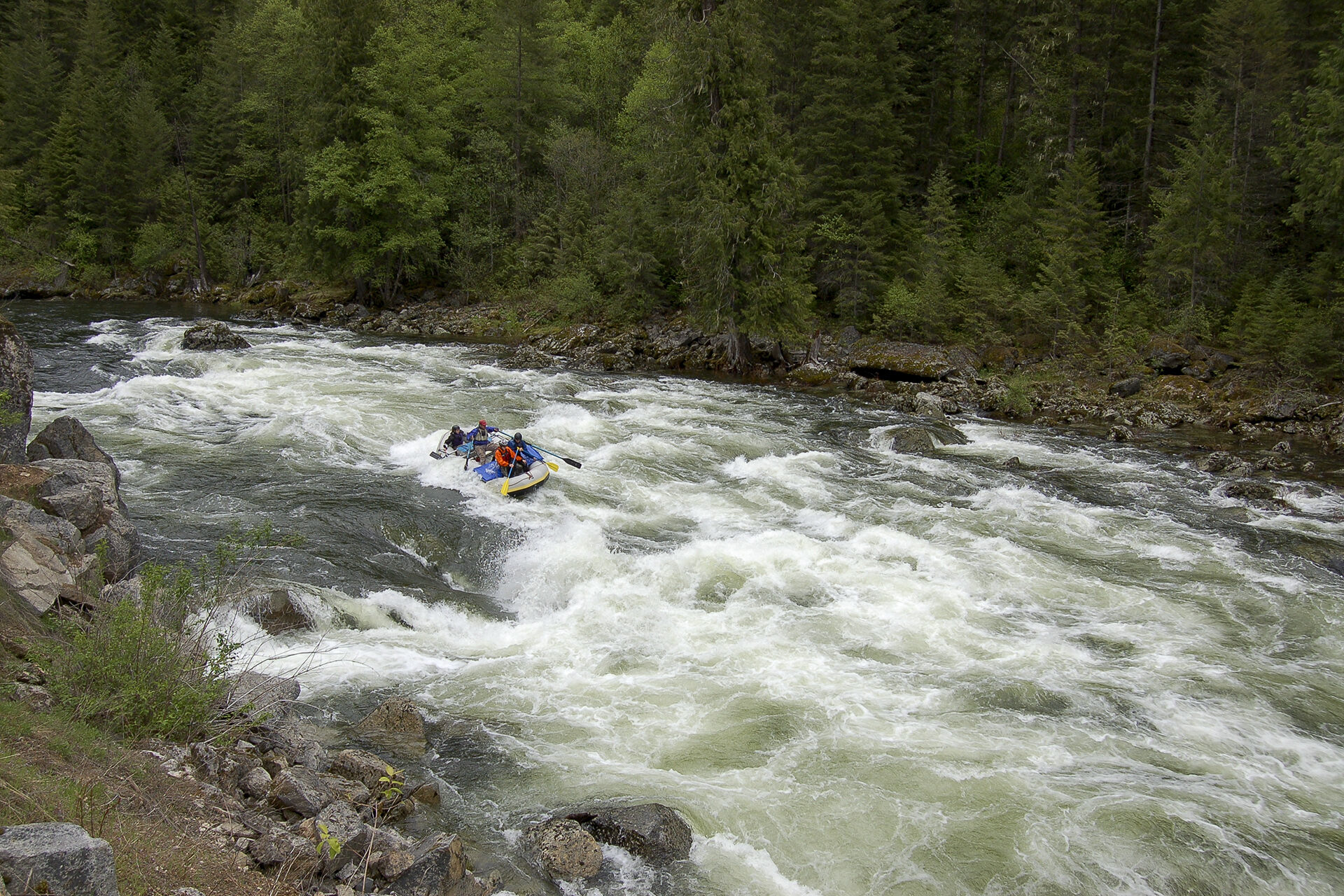 Image for Lochsa Area Streams Need Your Help Again (ID)!