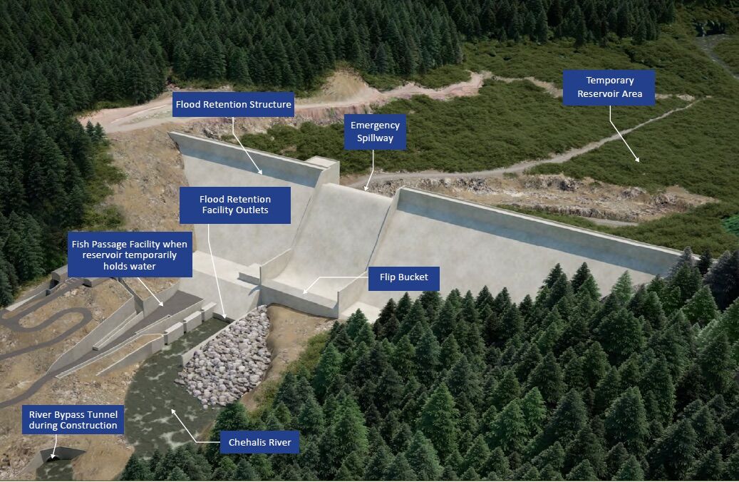 Image for New Dam Proposed for Chehalis River (WA): Take Action and Comment