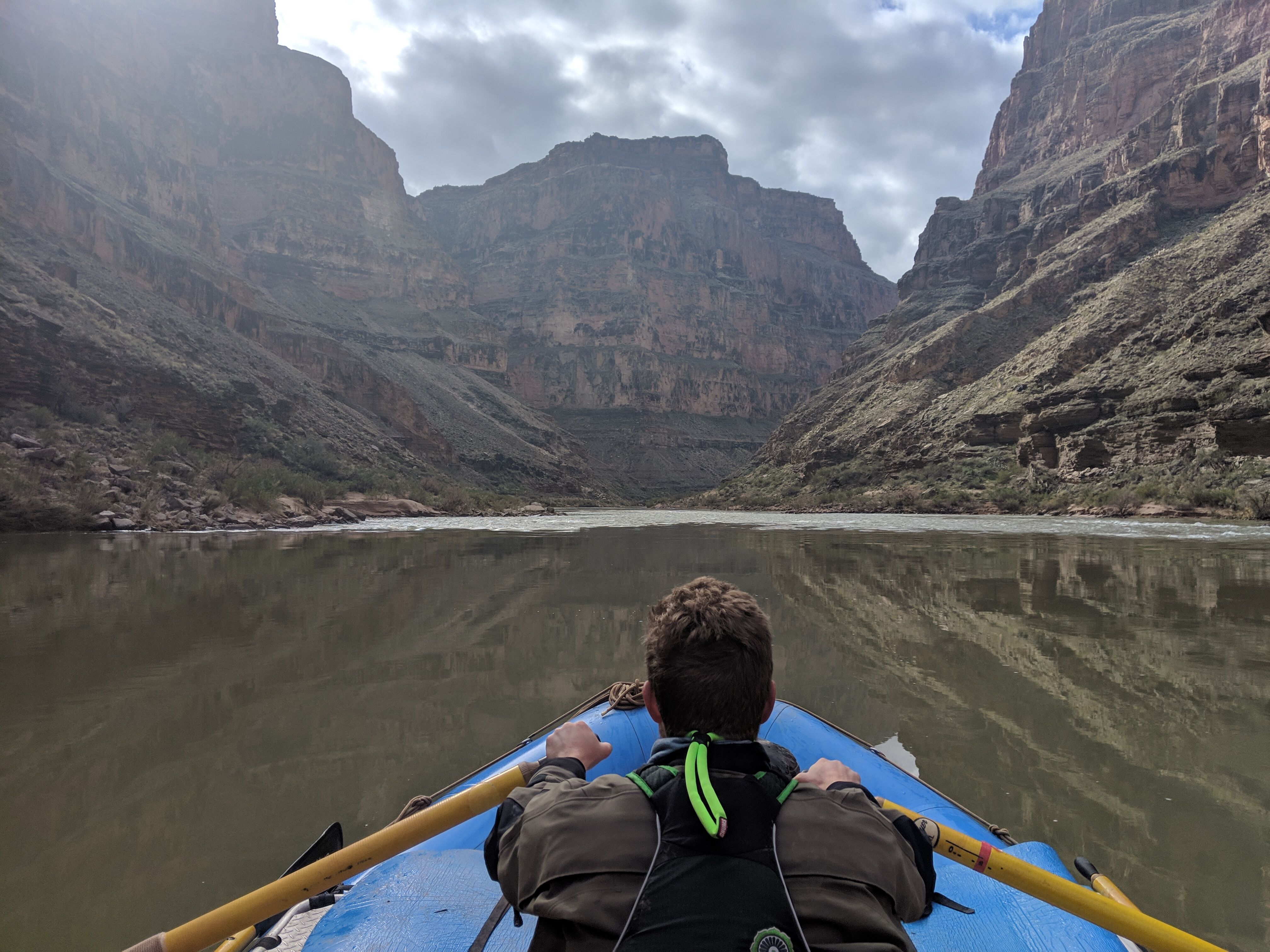 Image for Advocate From Home With These Resources