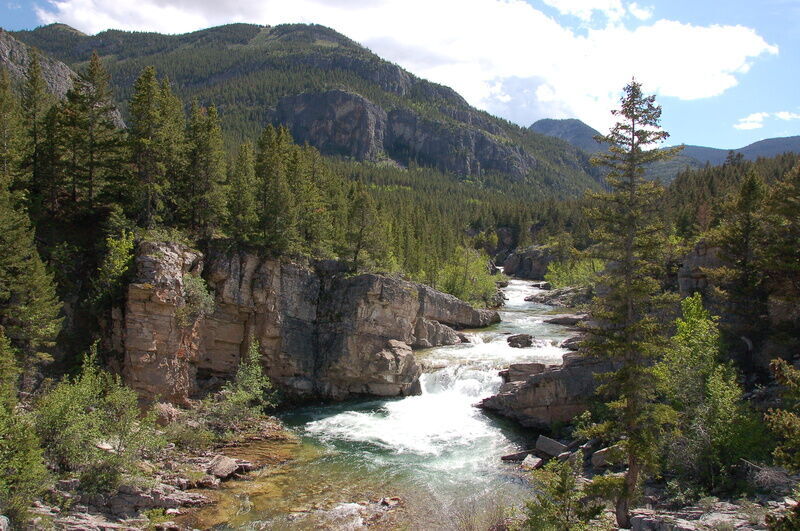 Image for National Forest Protects 360 Miles of Streams in Montana