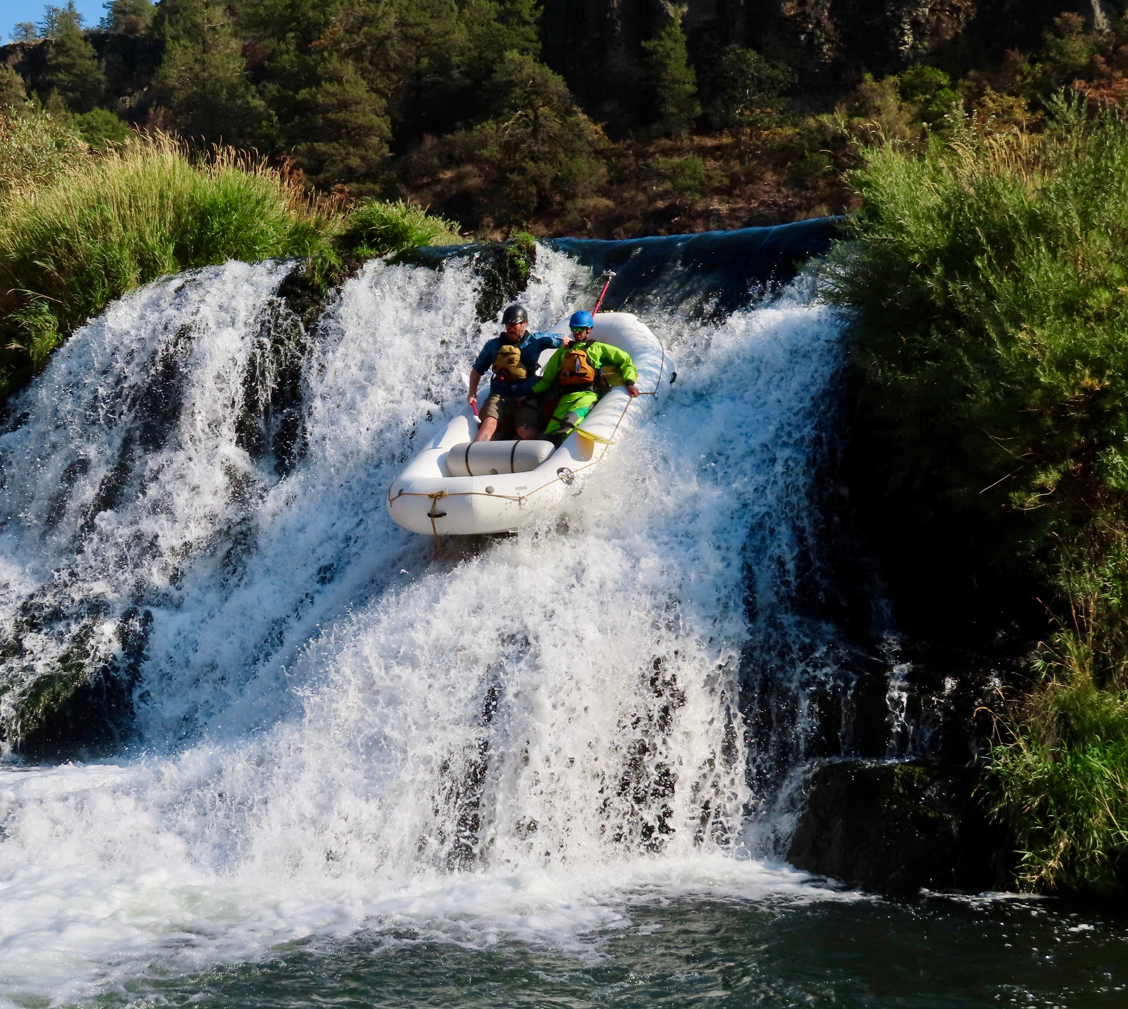 Image for California 2024 Recreational Releases