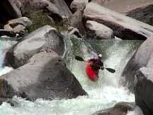 Image for Unraveling the Mysteries of the Middle Stanislaus River, California