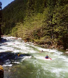 Image for New Wilderness Proposed for Skykomish River (WA)