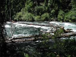 Image for Logjam Blocks Metolius River (OR)
