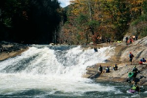 Image for Tallulah Fall 2002 Release Update