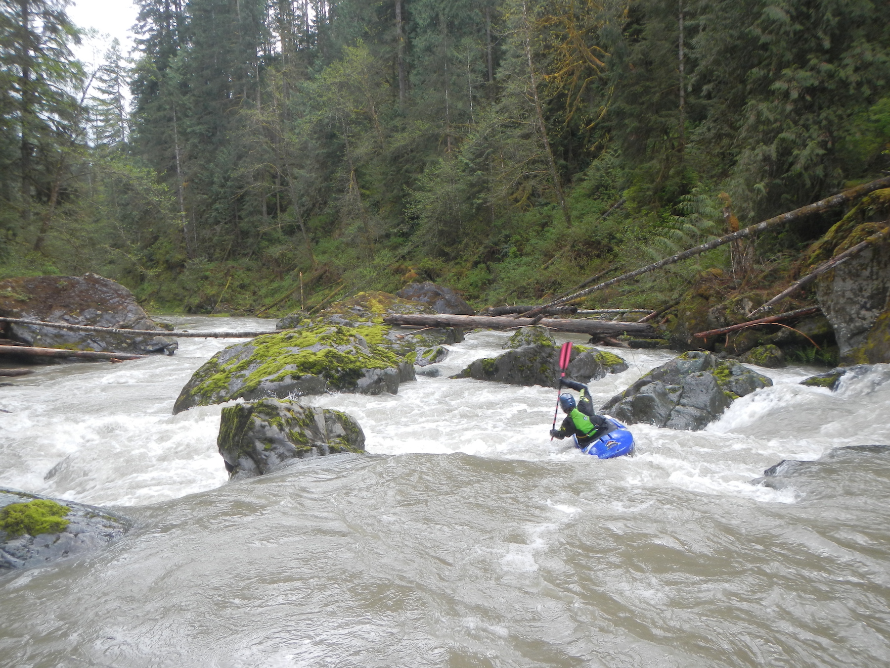 Image for Whitewater Boating Opportunity on the Upper Sultan (WA)