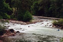 Image for Revised Water Quality Standard for WA