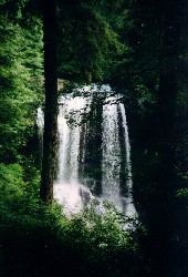 Image for Help Save the Clean Water Act (and Yourself)