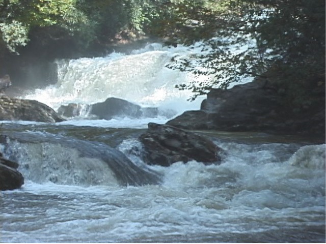 Image for Chattooga Headwaters - Draft EIS released