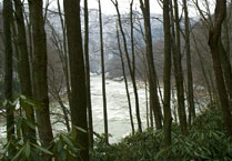 Image for Cheat Lands Crisis - Your Help Needed Now