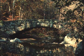 Image for Rock Creek: The Premier River in Our Nation's Capitol Is Overlooked... Again