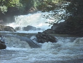 Image for Time is running out on the Chattooga Headwaters