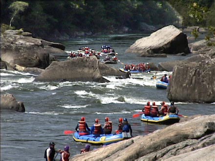 Image for Park Seeks Your Help Managing Gauley