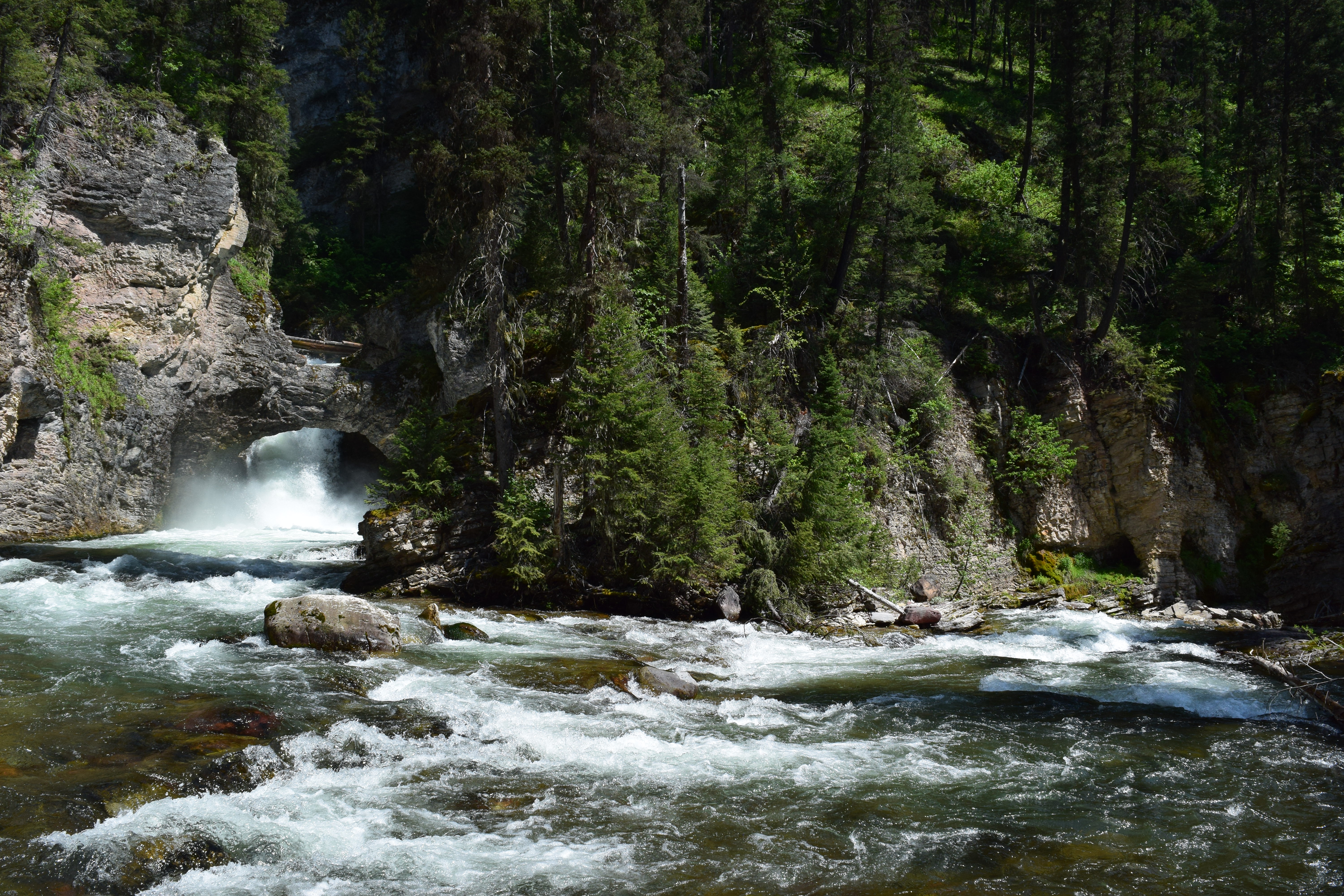 Upper Twin Creek, Flathead National Forest River Protection
