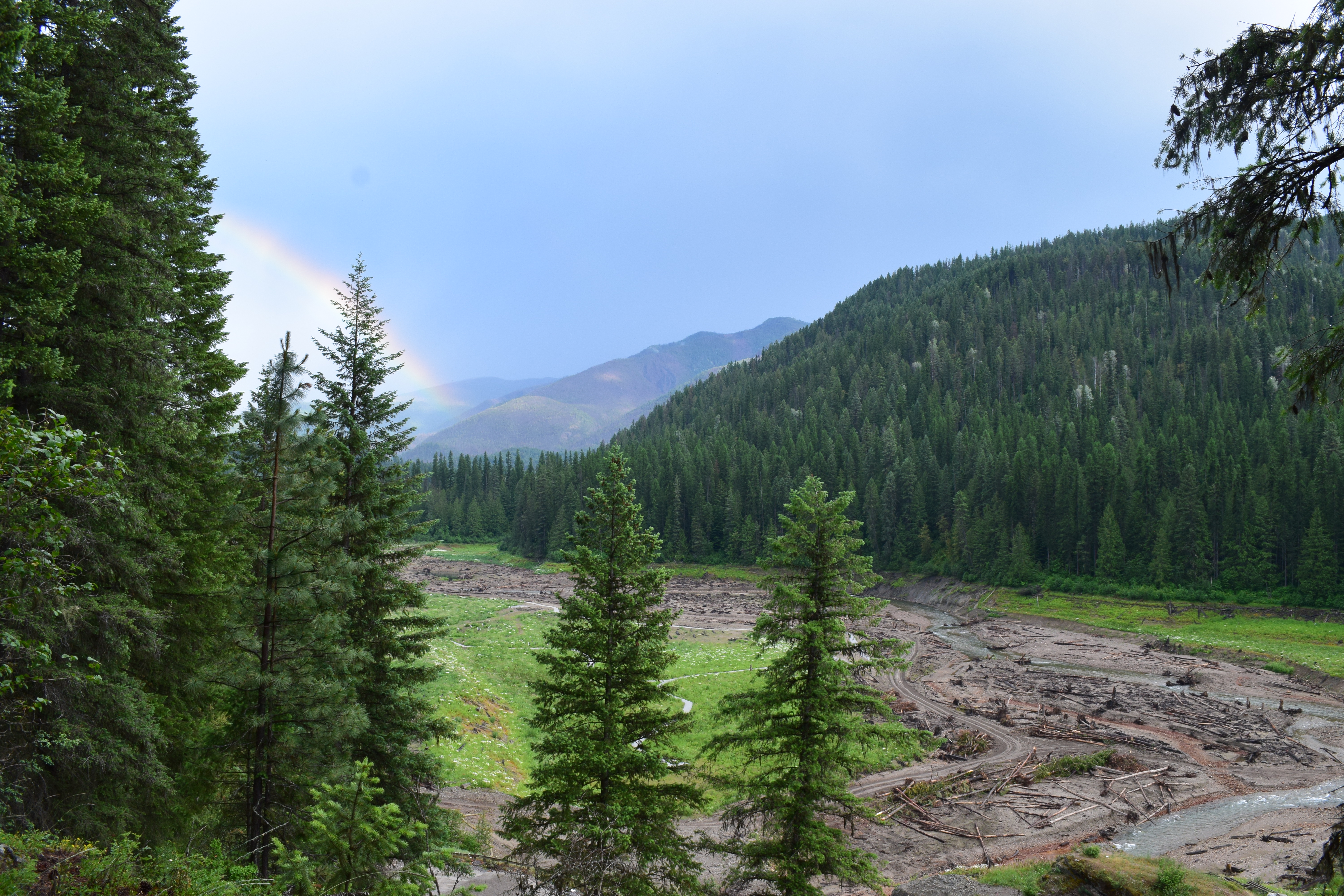 Sullivan Creek dam removal site