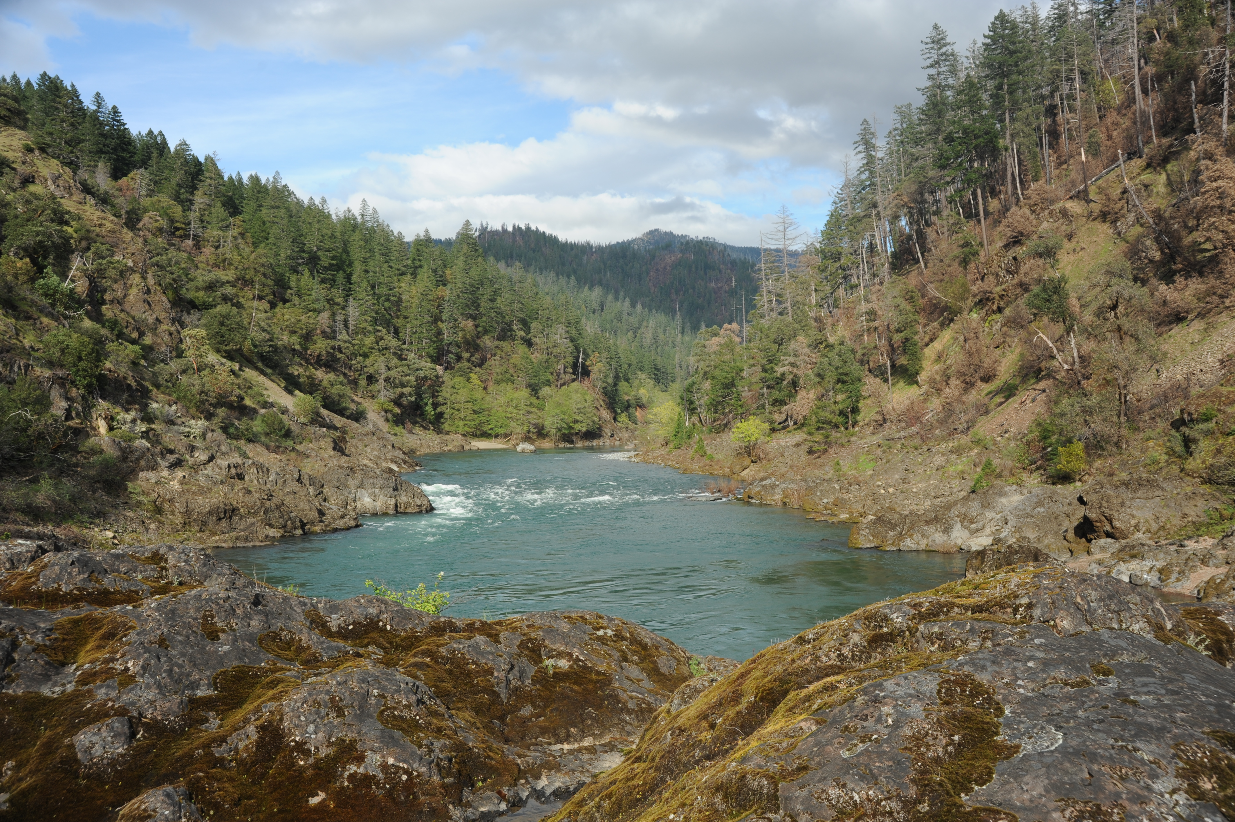 Scenic view of the Illinois Wild and Scenic River.
