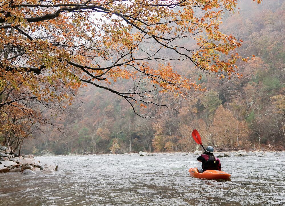 Image for 2023 BOARD OF DIRECTORS ELECTION - CURRENT MEMBERS PLEASE VOTE NOW!