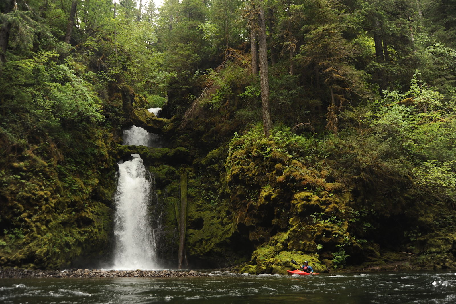 Image for New Requirement to Carry a Boater Education Card Proposed for Washington State