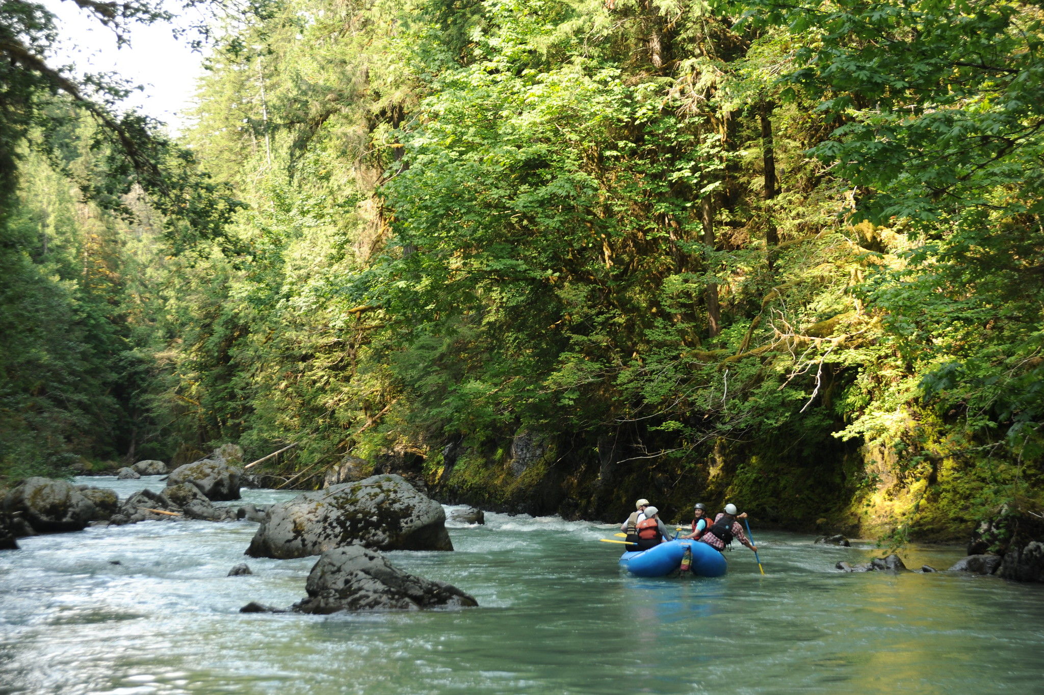 Image for Plan to Improve North Fork Nooksack River (WA) Finalized