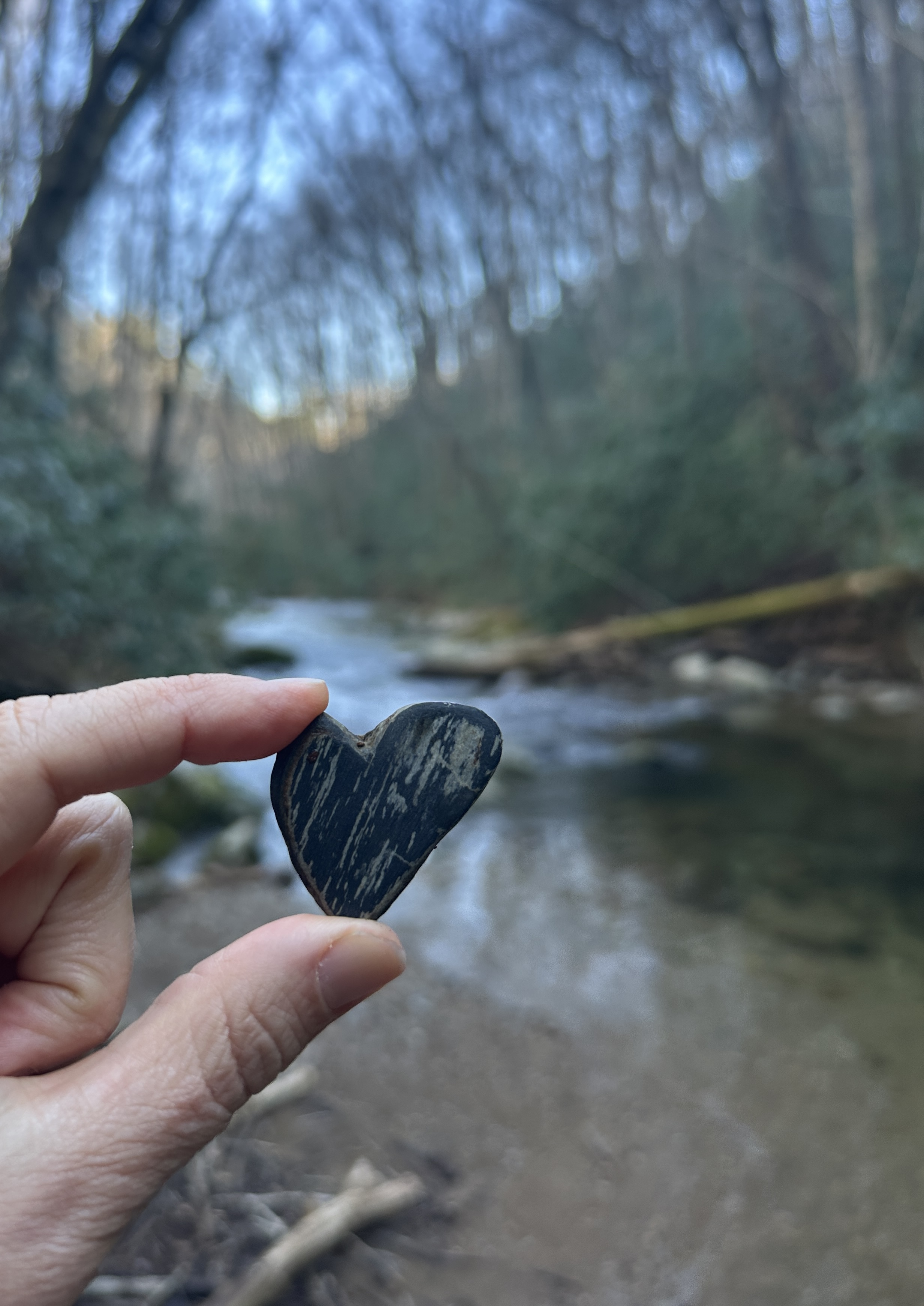 Hand holding heart shaped rock by stream