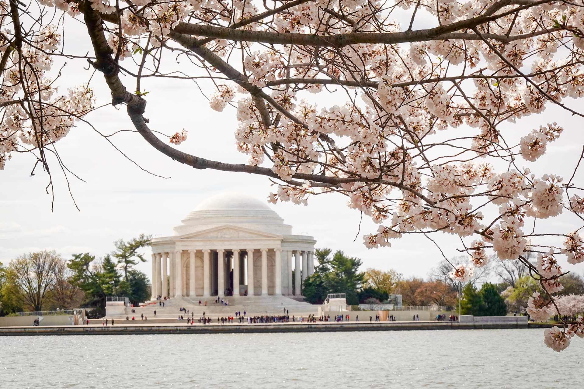 Image for Speaking Up For Rivers at the Nation's Capitol