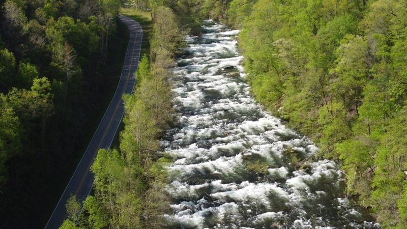 Image for 2025 Southeast Advanced Release Schedule