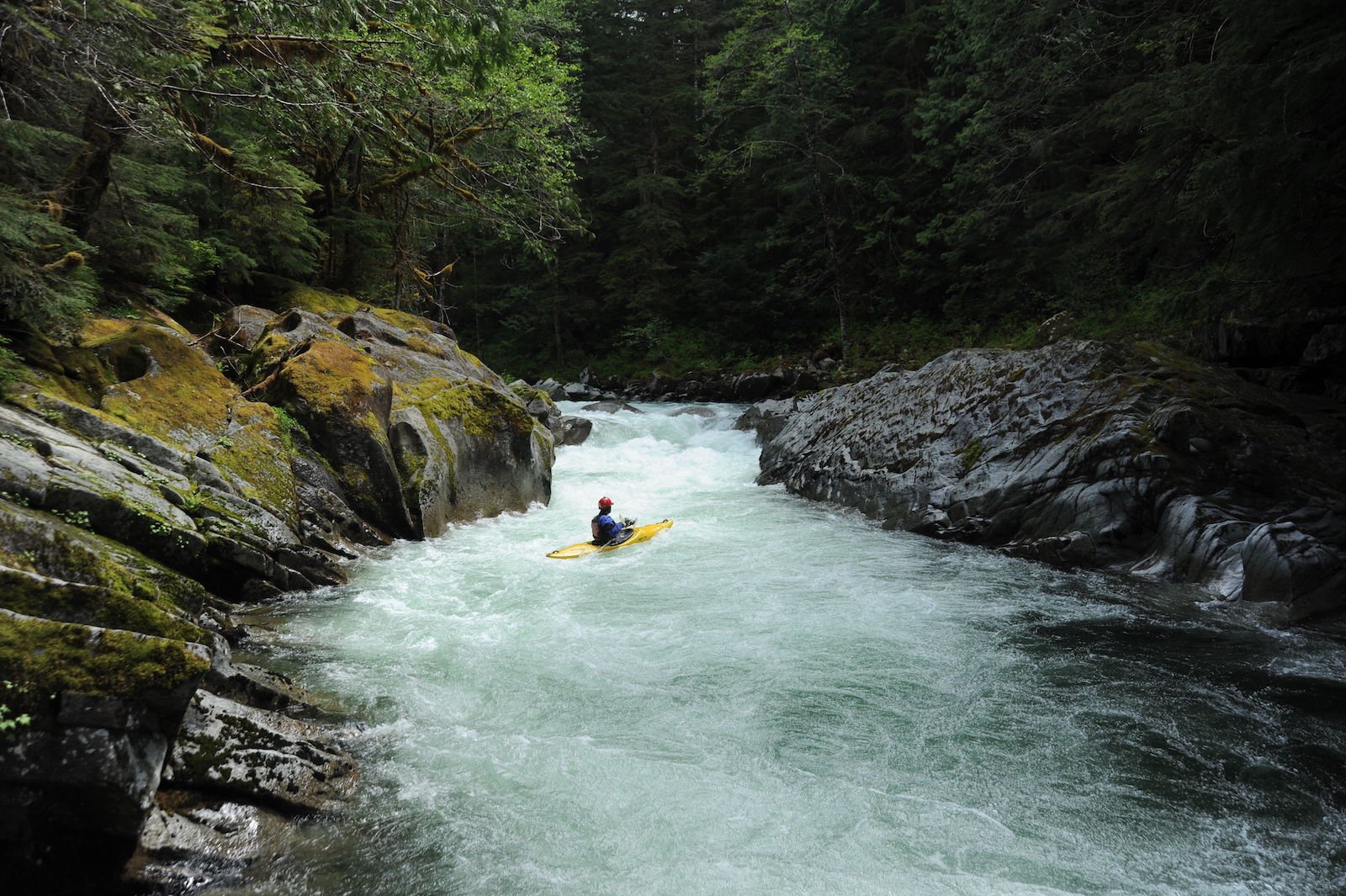 Image for North Fork Skykomish Road Repairs to Start (WA)
