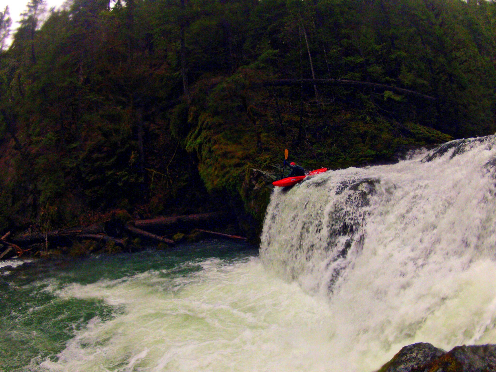 Image for Copeland Creek (OR) Log Placement Project Comment Opportunity