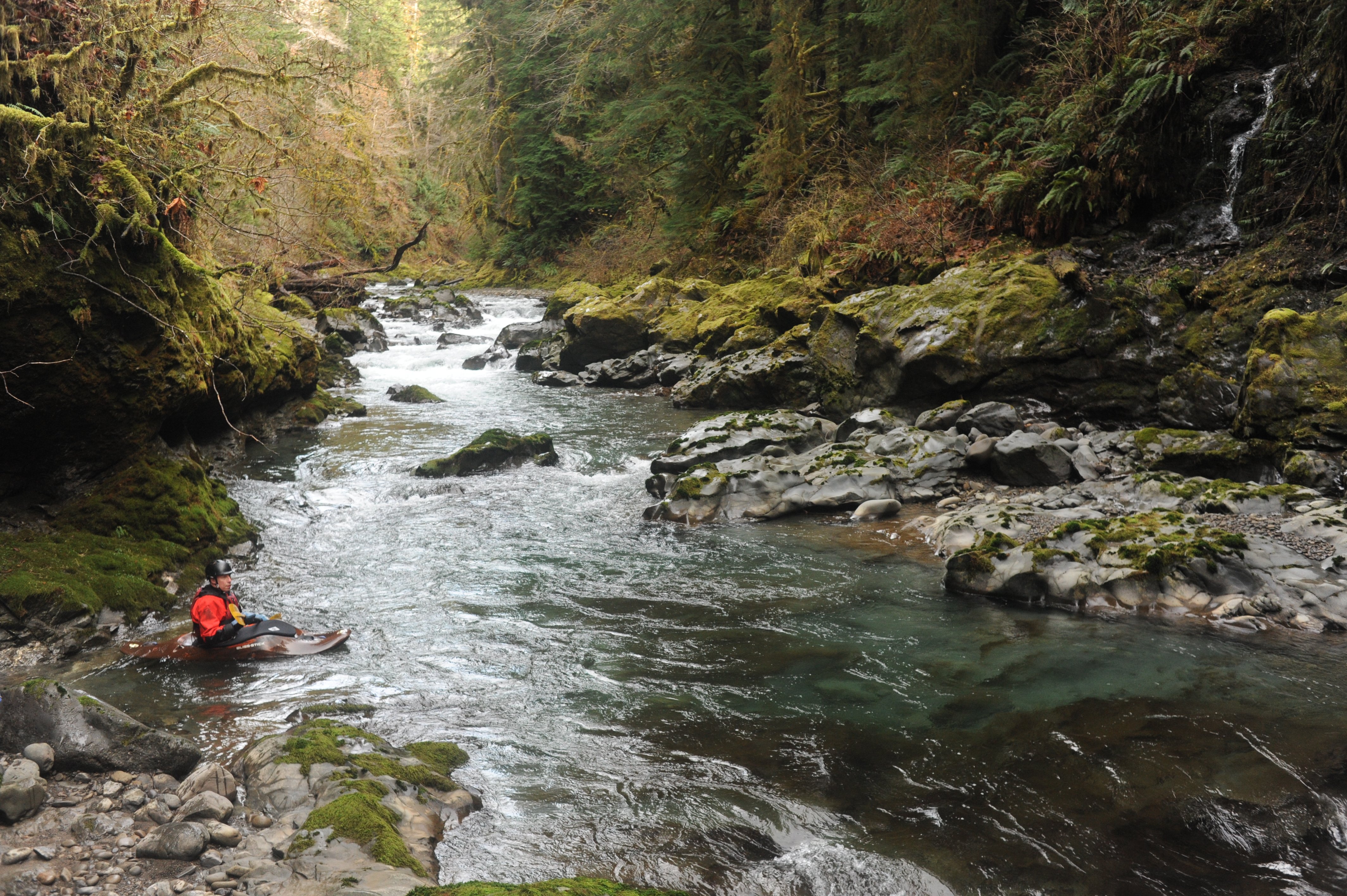 Image for Senator Murray & Representative Randall Reintroduce Wild Olympics Bill (WA)