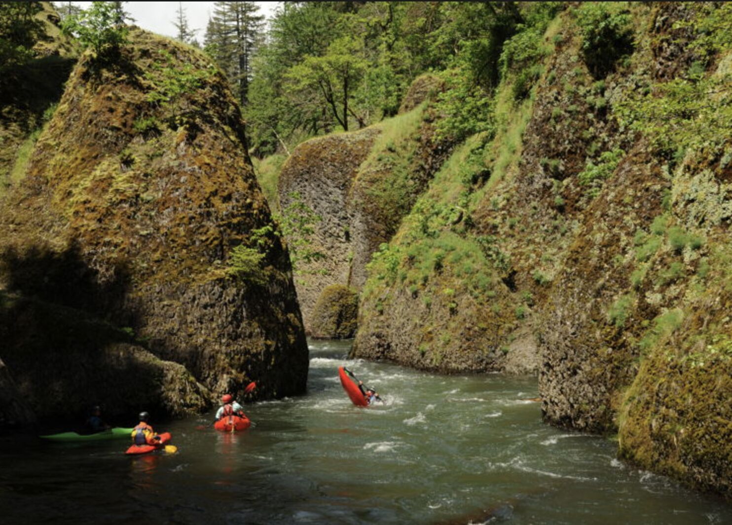 Image for A Vision for the Future of the Lower White Salmon River (WA)