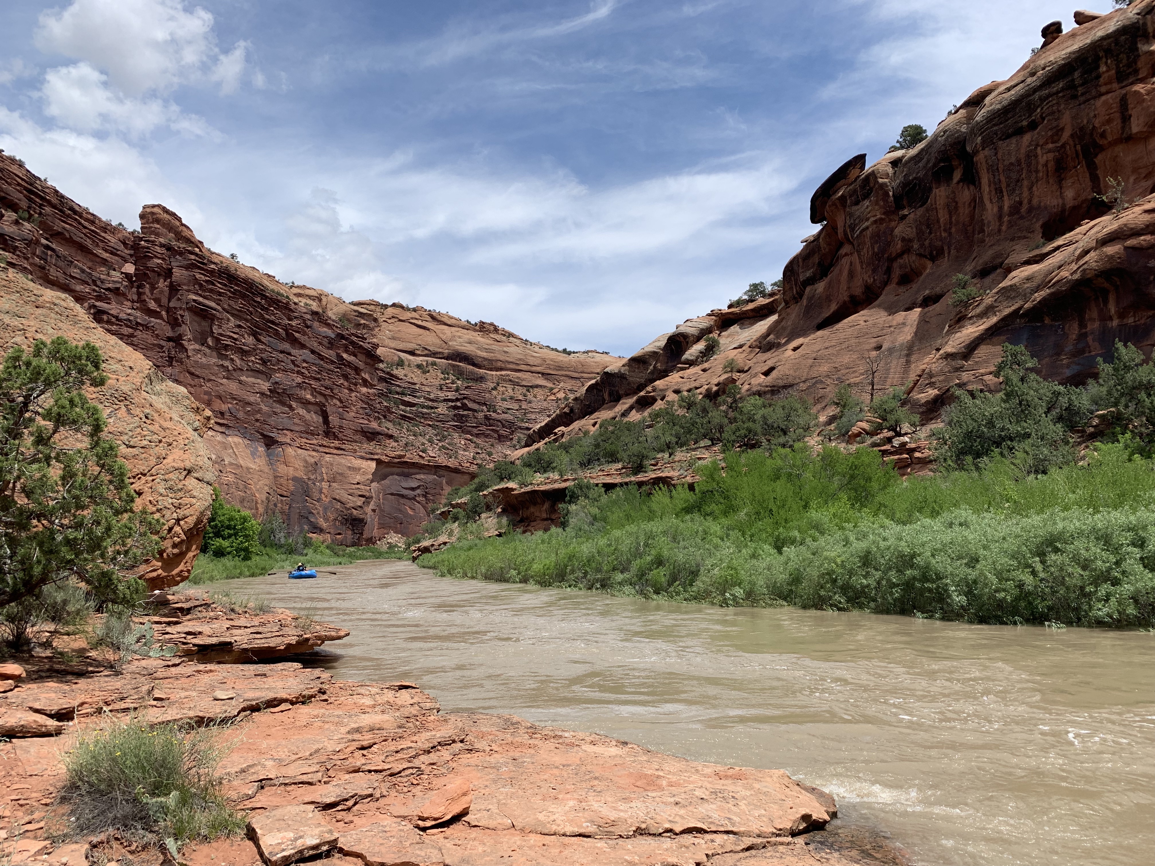 Image for Updates about the Dolores River (CO) Releases