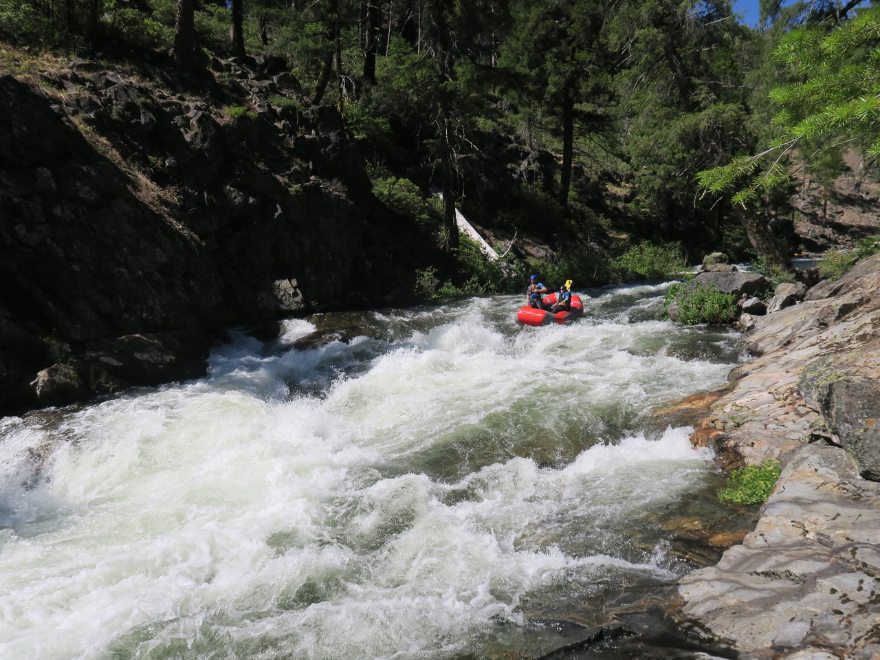 Image for 2022 Recreational Releases for South Fork Silver Creek and Slab Creek (CA)