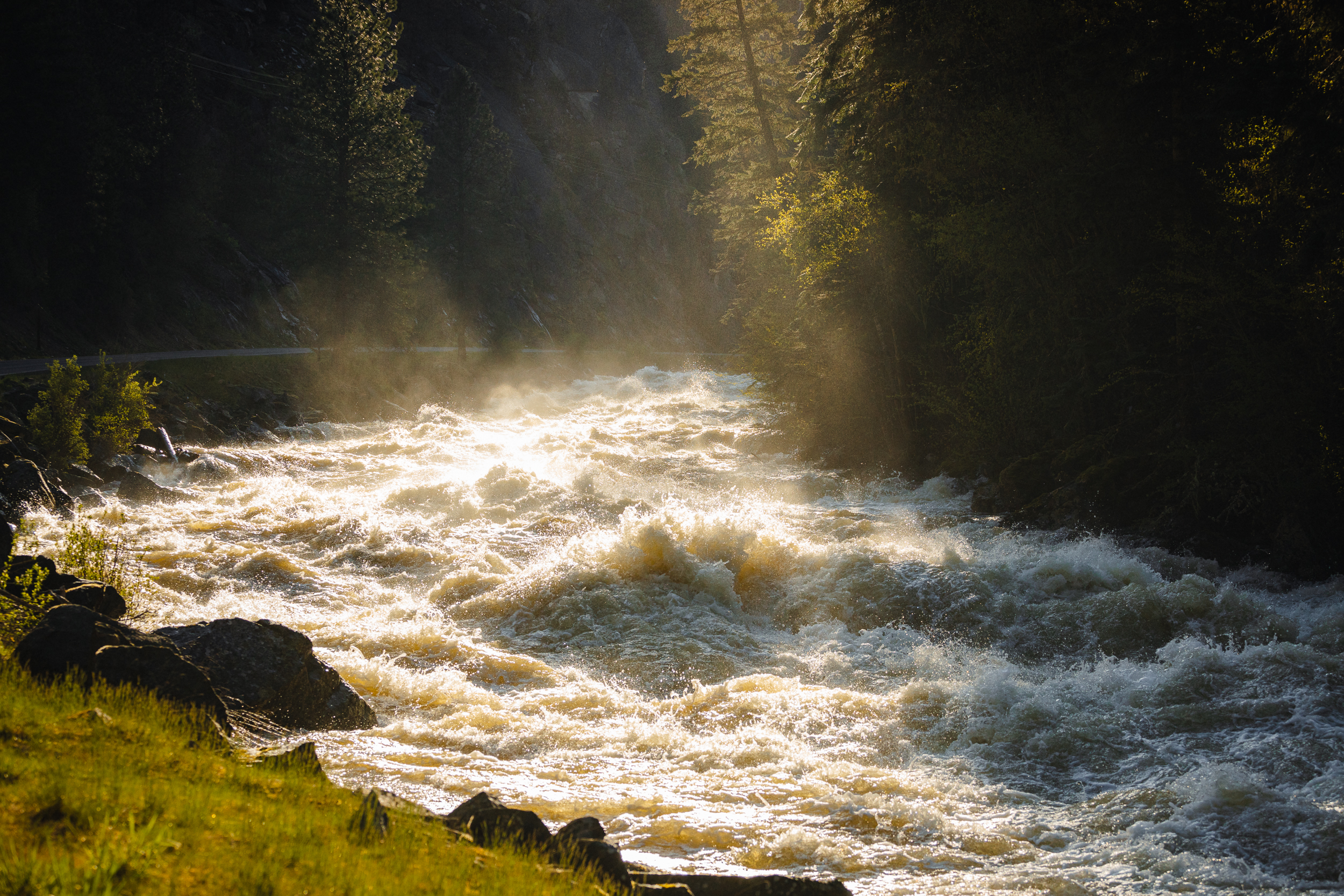 Image for Forest Service Backs Elimination of Lochsa Area River Protections