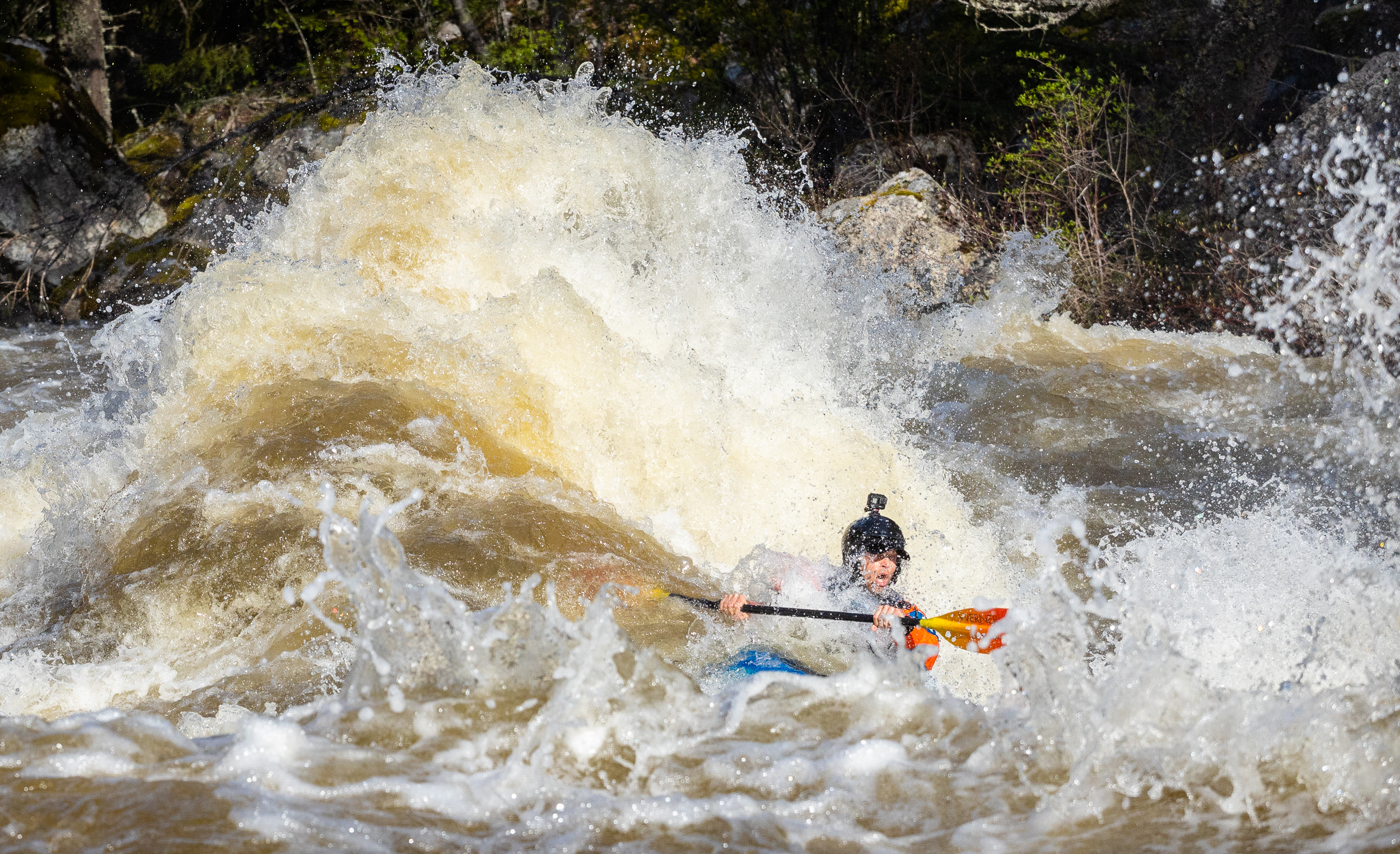 Image for American Whitewater Appeals Bad Forest Plan in Idaho