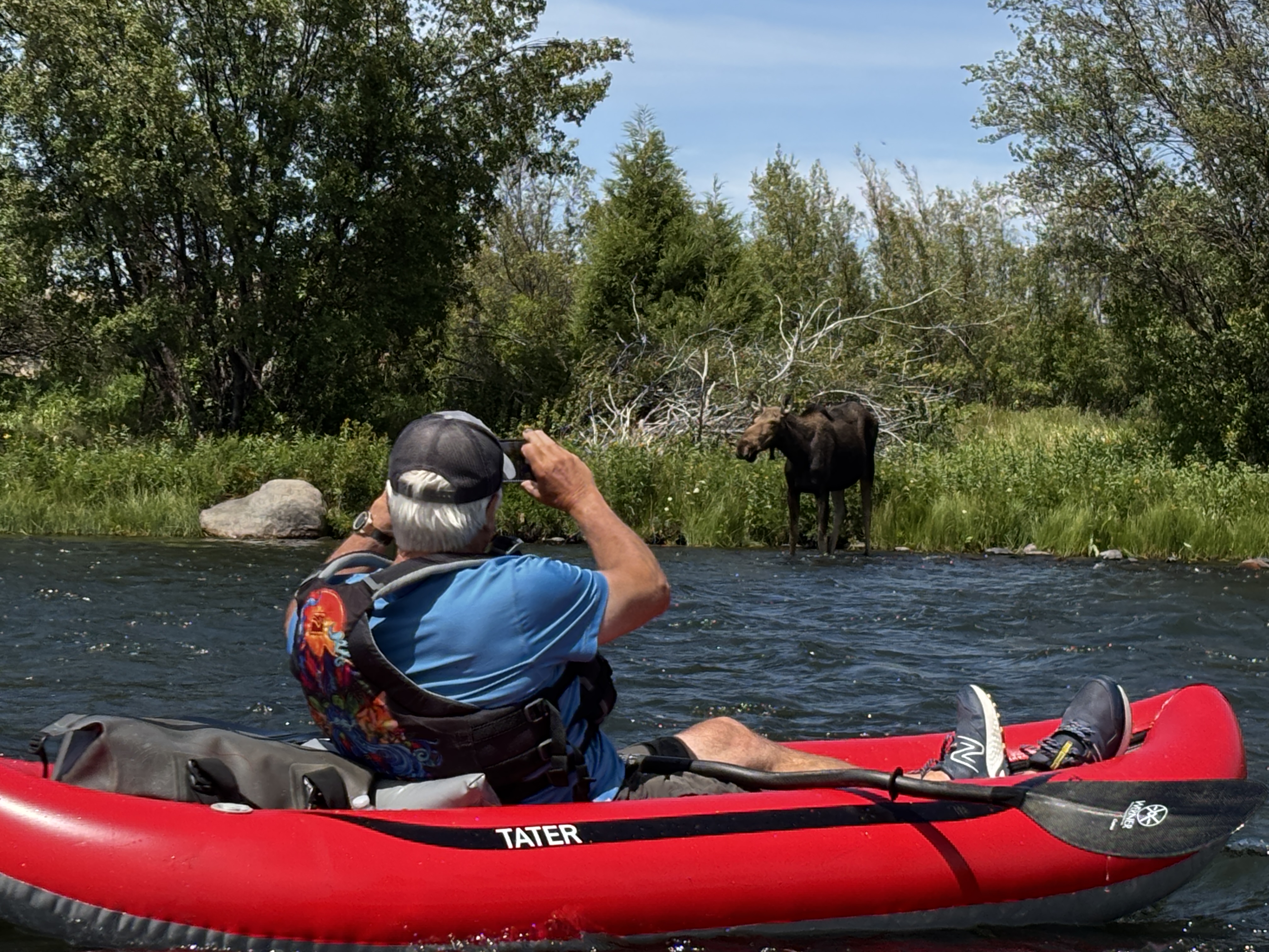 Image for New Wild and Scenic River Legislation for Montana!