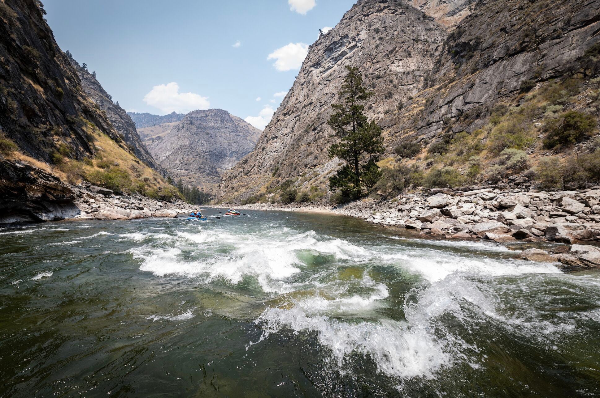 Image for Join American Whitewater on the Middle Fork of the Salmon (ID)