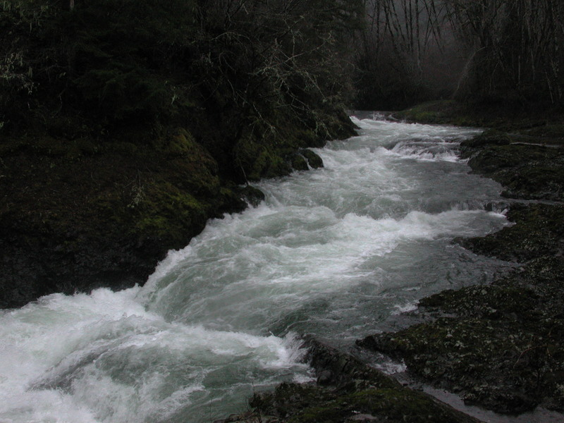 Image for Big decisions coming for Chehalis River–proposed dam, salmon and flood response