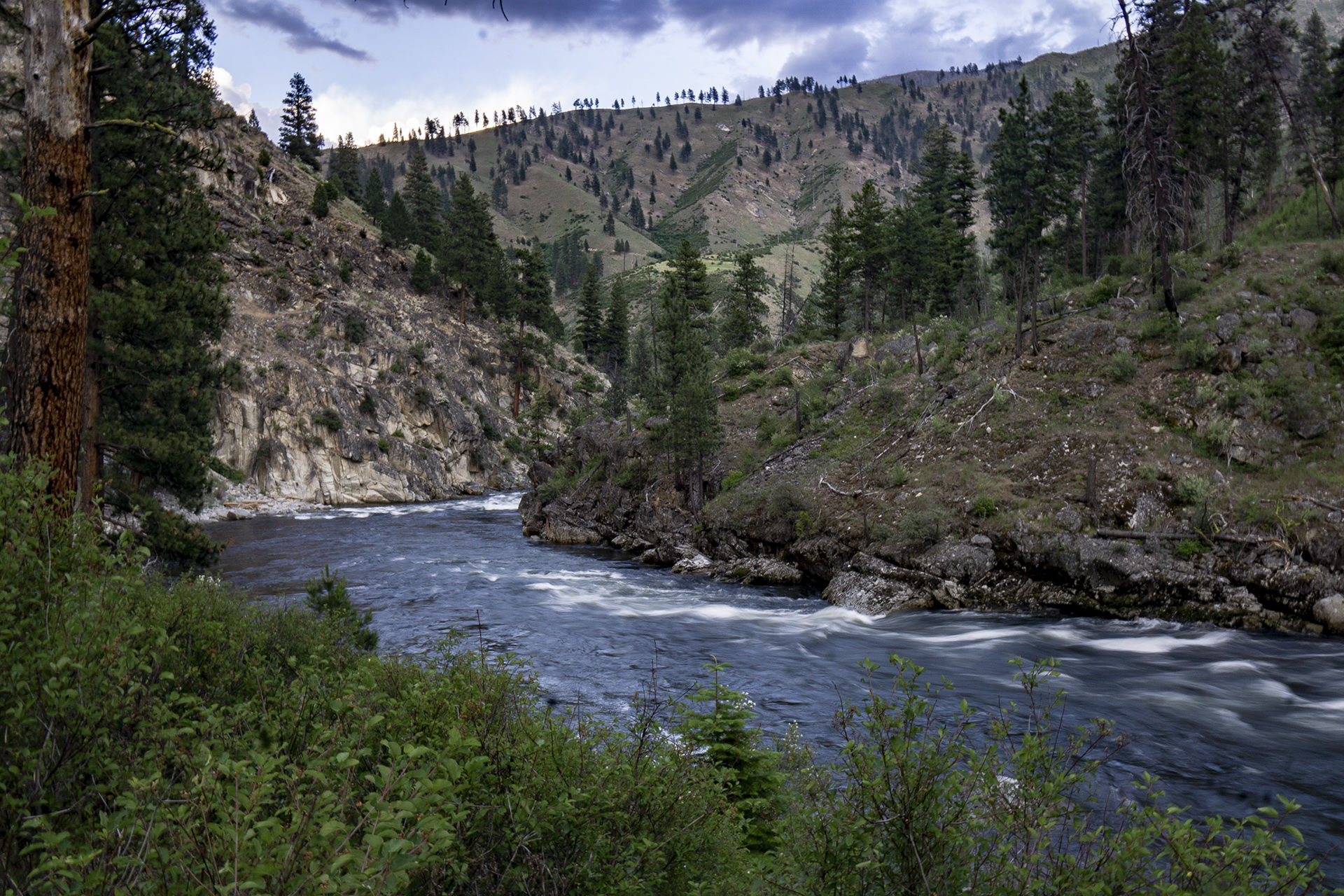 Image for Time for Some Action on the South Fork Salmon!