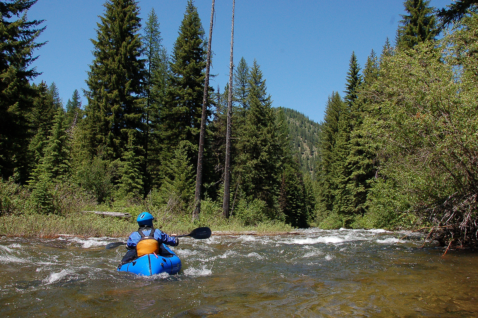 Image for Montana Walks Back Proposed Fish Creek Paddling Ban