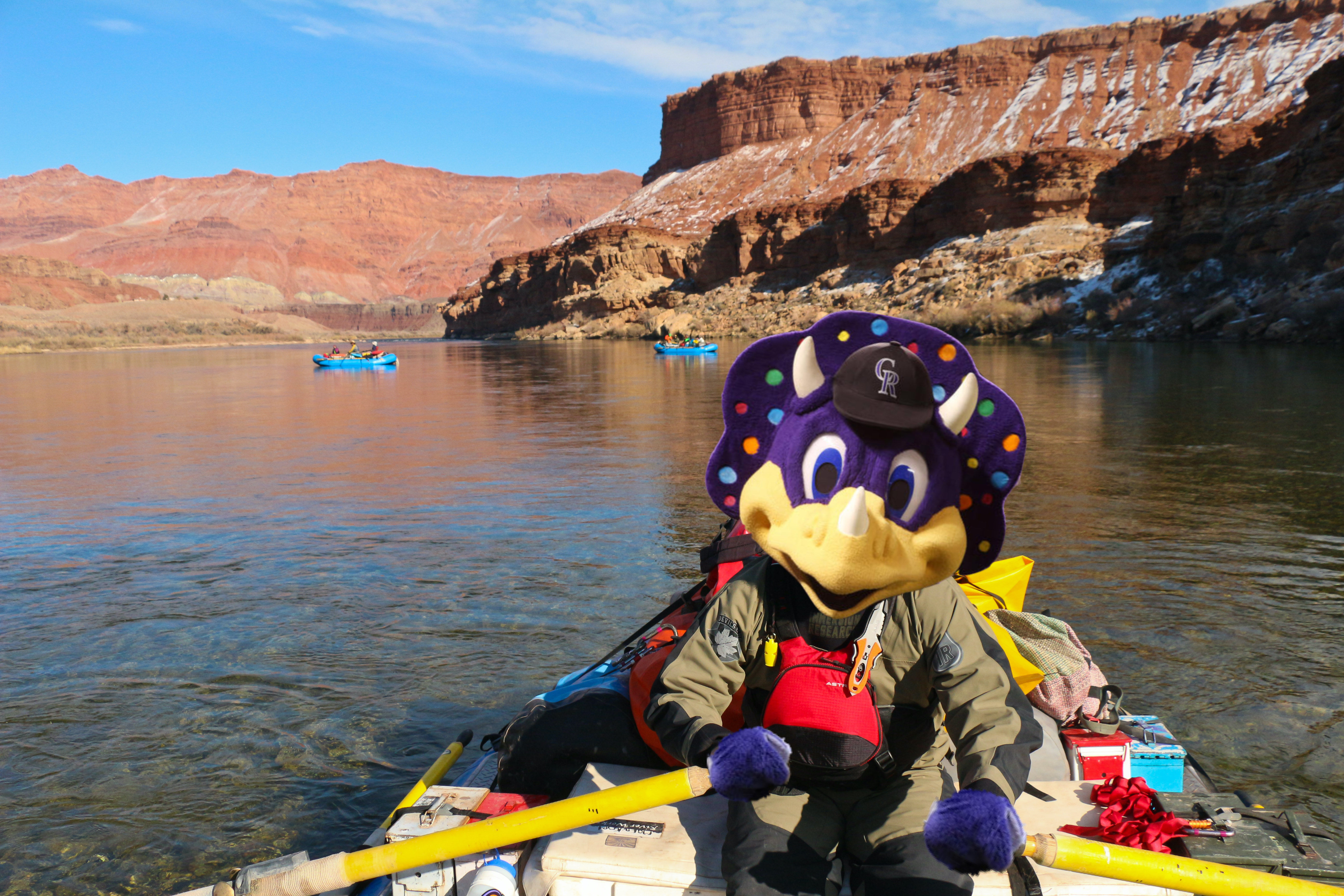 Image for Prop DD Funds Beginning To Emerge